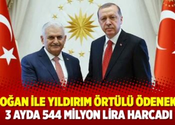 ​Erdoğan ile Yıldırım örtülü ödenekten 3 ayda 544 milyon lira harcadı