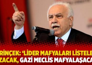 Perinçek: ‘Lider mafyaları listeleri yazacak, Gazi Meclis mafyalaşacak’