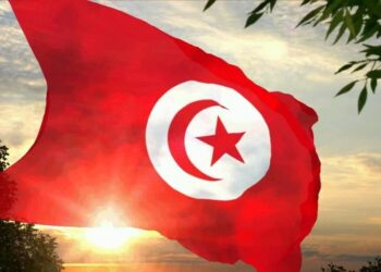 Tunus’ta eğitim uçağı düştü iki asker vefat etti