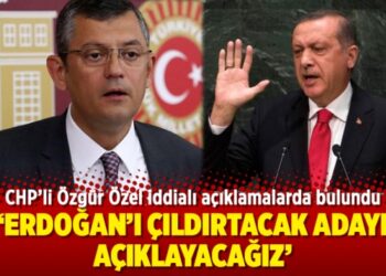 CHP’li Özel: Erdoğan’ı çıldırtacak adayı açıklayacağız