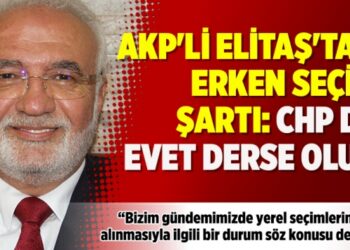 AKP’li Elitaş’tan erken seçim şartı: CHP de evet derse olur