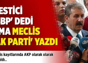 Destici ‘BBP’ dedi, Meclis ‘AK Parti’ yazdı