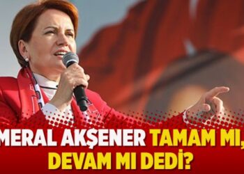 Meral Akşener tamam mı, devam mı dedi?