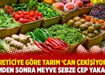 Üreticiye göre tarım ‘can çekişiyor’: Ekimden sonra meyve sebze cep yakacak