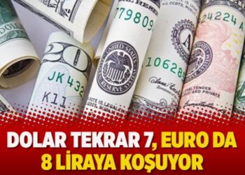 Dolar tekrar 7, Euro da 8 liraya koşuyor