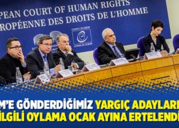AİHM’e gönderdiğimiz yargıç adaylarıyla ilgili oylama ocak ayına ertelendi