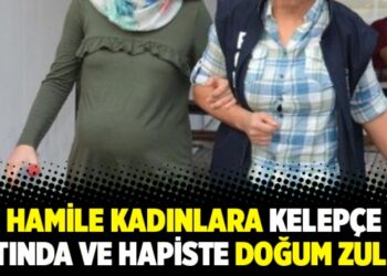 Hamile kadınlara kelepçe altında ve hapiste doğum zulmü