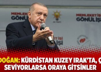 Erdoğan: Kürdistan Kuzey Irak’ta, çok seviyorlarsa oraya gitsinler