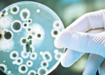 Avrupa’da bakteri alarmı: Beş kişi hayatını kaybetti