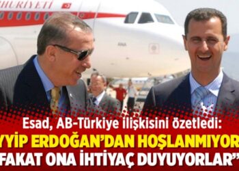 “Tayyip Erdoğan’dan hoşlanmıyorlar fakat ona ihtiyaç duyuyorlar”