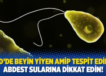 ABD’de beyin yiyen amip tespit edildi: Abdest sularına dikkat edin!