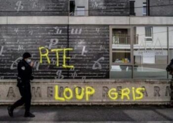 Fransa, Ülkü Ocakları’nı kapatıyor!