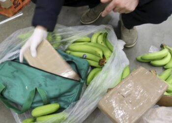 Market çalışanları polis çağırdı: Muz kolilerinden 160 kilo kokain çıktı