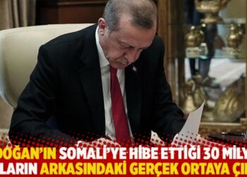 Erdoğan’ın Somali’ye hibe ettiği 30 milyon doların arkasındaki gerçek ortaya çıktı