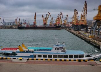 Rusya, ihracatı geçici olarak yasaklanan ürünlerin listesini belirledi