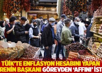 TÜİK’te enflasyon hesabını yapan dairenin başkanı görevden ‘affını’ istedi