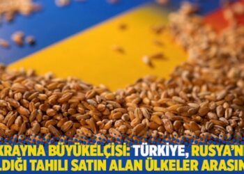 Ukrayna Büyükelçisi: Türkiye, Rusya’nın çaldığı tahılı satın alan ülkeler arasında