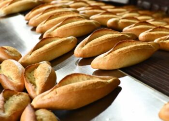 Dünya yazarı: Ekmek fiyatı kaçınılmaz olarak artacak