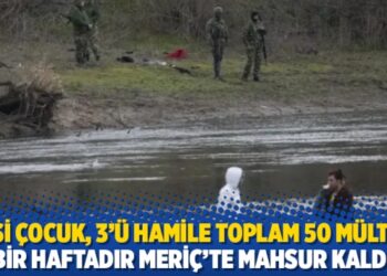 12’si çocuk, 3’ü hamile toplam 50 mülteci bir haftadır Meriç’te mahsur kaldı