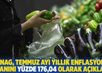 ENAG, temmuz ayı yıllık enflasyon oranını yüzde 176,04 olarak açıkladı