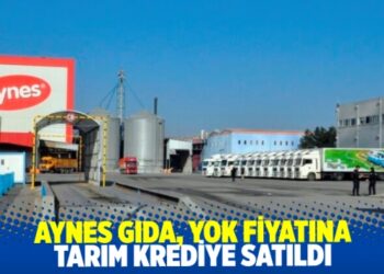 Aynes Gıda, yok fiyatına Tarım Krediye satıldı