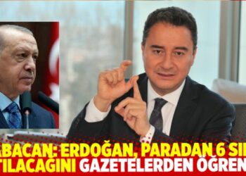 Babacan: Erdoğan, paradan 6 sıfır atılacağını gazetelerden öğrendi