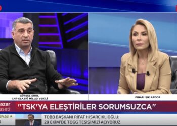 CHP’li Erol: TSK’nın eylemleri sorgulanamaz, eleştirilemez