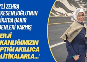 AKP’li Zehra Taşkesenlioğlu’nun Afrika’da bakır madenleri varmış: Enerji Bakanlığımızın yaptığı akıllıca politikalarla…