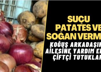 Çorum’da skandal tutuklama: Koğuş arkadaşlarının ailesine yetiştirdiği patates ve soğandan veren çiftçi tutuklandı