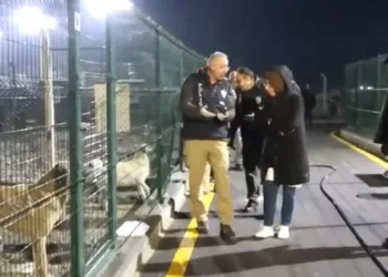 Hayvanlara işkence iddiasıyla Ankara’da barınak önünde eylem