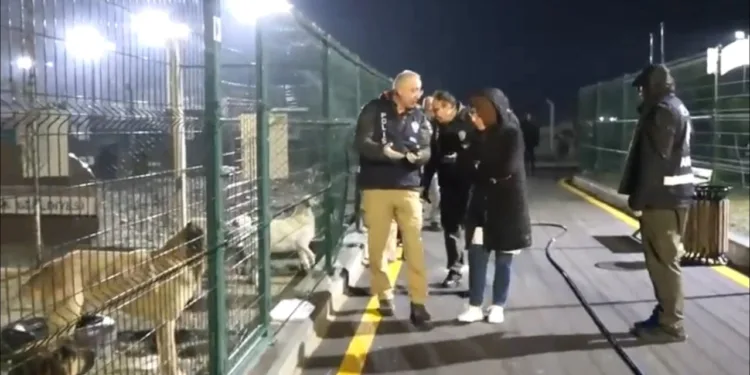 Hayvanlara işkence iddiasıyla Ankara’da barınak önünde eylem