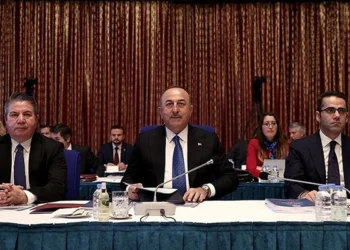 Çavuşoğlu’ndan eleştirilere hakaretle cevap