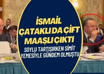 Süleyman Soylu’nun yardımcısı İsmail Çataklı da çift maaşlı çıktı
