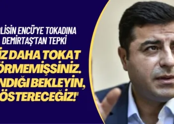 Polisin Encü’ye tokadına Demirtaş’tan tepki: Siz daha tokat görmemişsiniz. Sandığı bekleyin, göstereceğiz!