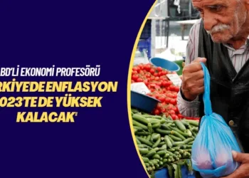 ABD’li ekonomi profesörü: Türkiye’de enflasyon 2023’te de yüksek kalacak