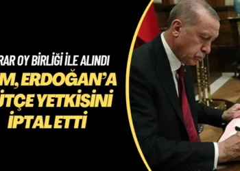 Karar oy birliği ile alındı: Anayasa Mahkemesi, Erdoğan’a bütçe yetkisini iptal etti