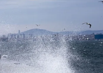 İstanbul’da deniz ulaşımına lodos engeli