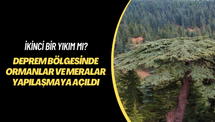 İkinci bir yıkım mı? Deprem bölgesinde ormanlar ve meralar yapılaşmaya açıldı