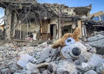 Deprem bölgesinde utanç veren tespit