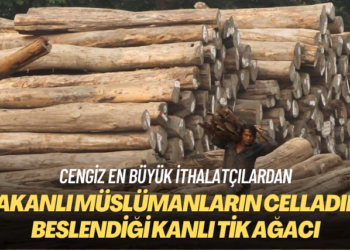 Cengiz en büyük ithalatçılardan: Arakanlı müslümanların celladının beslendiği kanlı tik ağacı