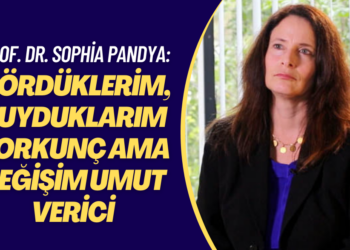 Prof. Dr. Sophia Pandya Hizmet hareketinin karşılaştığı zorlukları ve cevaplarını anlattı: Gördüklerim, duyduklarım korkunç ama değişim umut verici