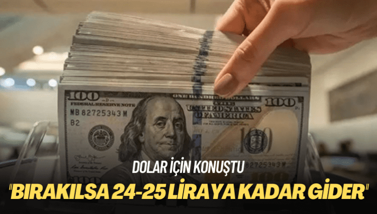 Dolar için konuştu: Bırakılsa 24-25 liraya kadar gider