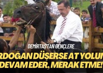 Demirtaş’tan gençlere: Erdoğan düşerse at yoluna devam eder, merak etme!