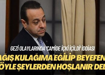 Gezi olaylarında ‘camide içki içildi’ iddiası: Egemen Bağış kulağıma eğilip ‘beyefendi böyle şeylerden hoşlanır’ dedi