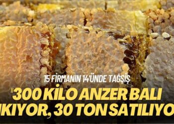 15 firmanın 14’ünde tağşiş: 300 kilo Anzer balı çıkıyor 30 ton satılıyor