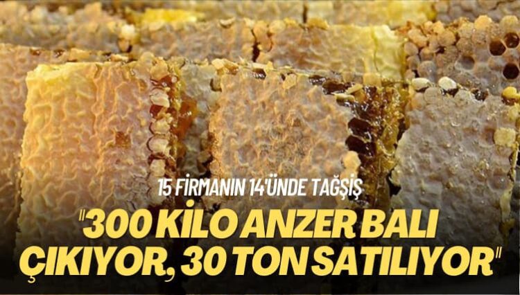 15 firmanın 14’ünde tağşiş: 300 kilo Anzer balı çıkıyor 30 ton satılıyor