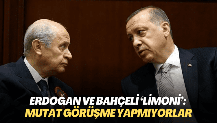 Erdoğan ve Bahçeli arasındaki mutat görüşmeler rafa kalktı