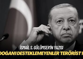 İsmail S. Gülümser’in yazısı: Erdoğan’ı desteklemeyenler ‘terörist’ mi?