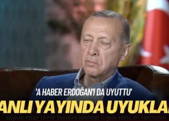 ‘A Haber Erdoğan’ı da uyuttu’ Canlı yayında uyukladı