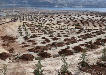 Türkiye’nin dörtte üçü çölleşiyor